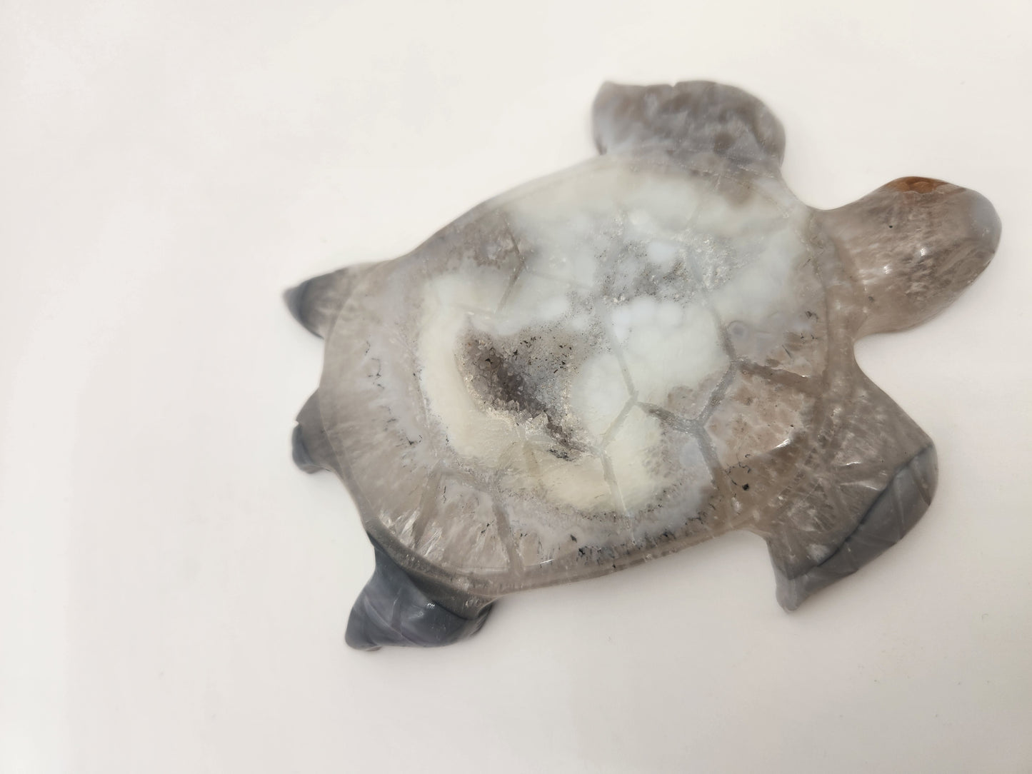 Blue Lace Agate Turtle