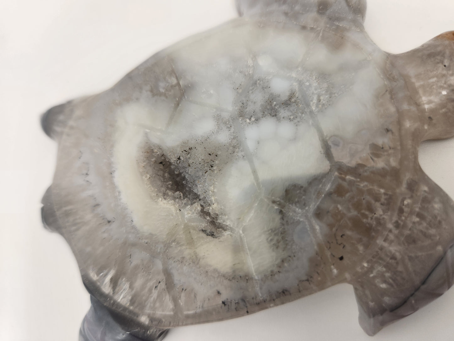Blue Lace Agate Turtle