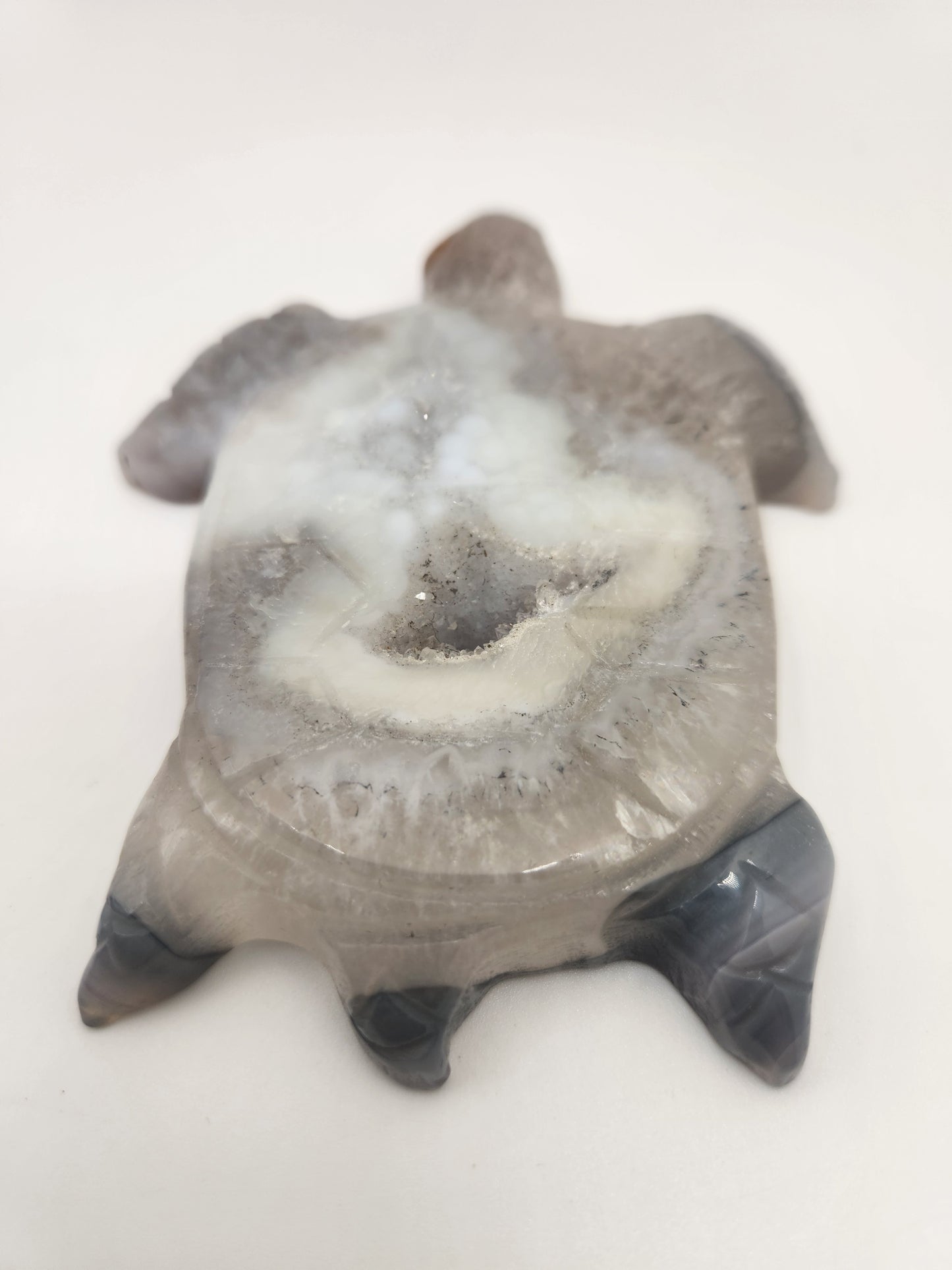 Blue Lace Agate Turtle
