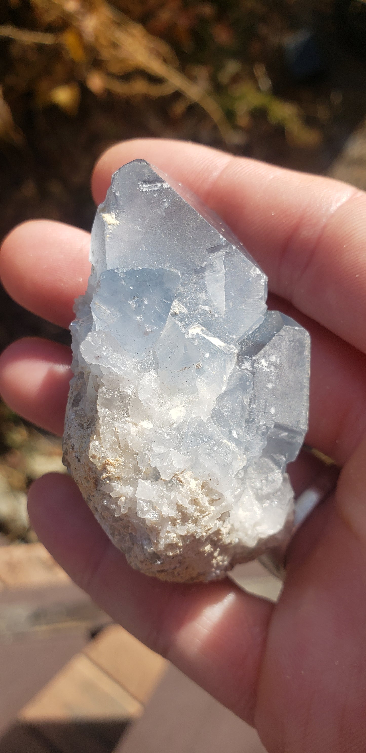 Celestite Cluster
