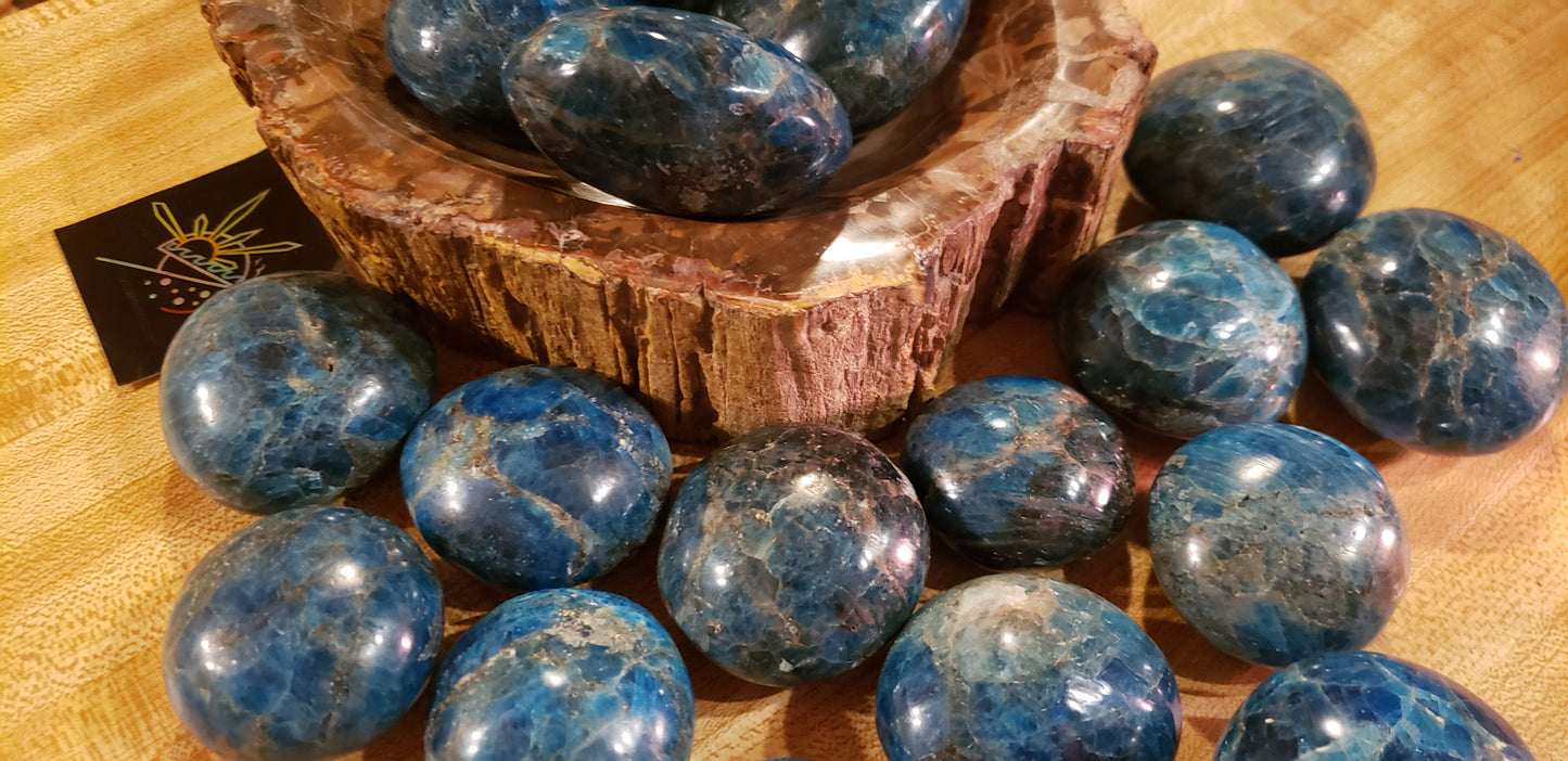 Petrified Wood Bowl