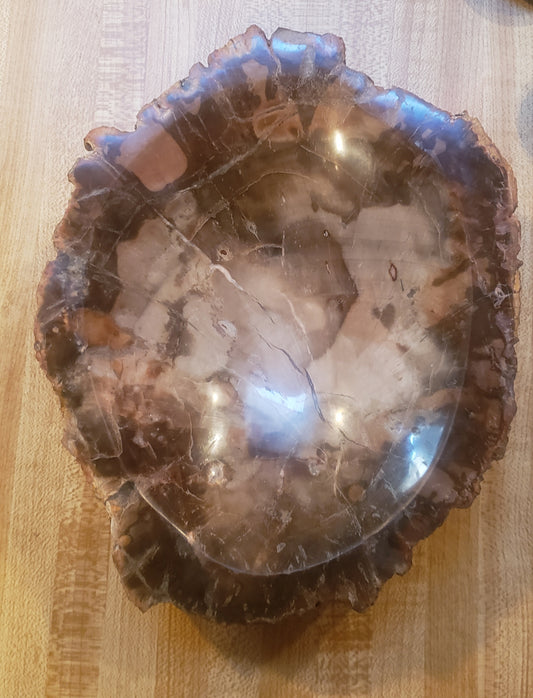 Petrified Wood Bowl