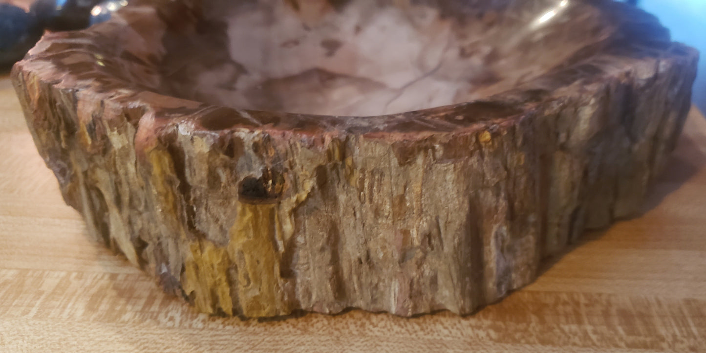 Petrified Wood Bowl