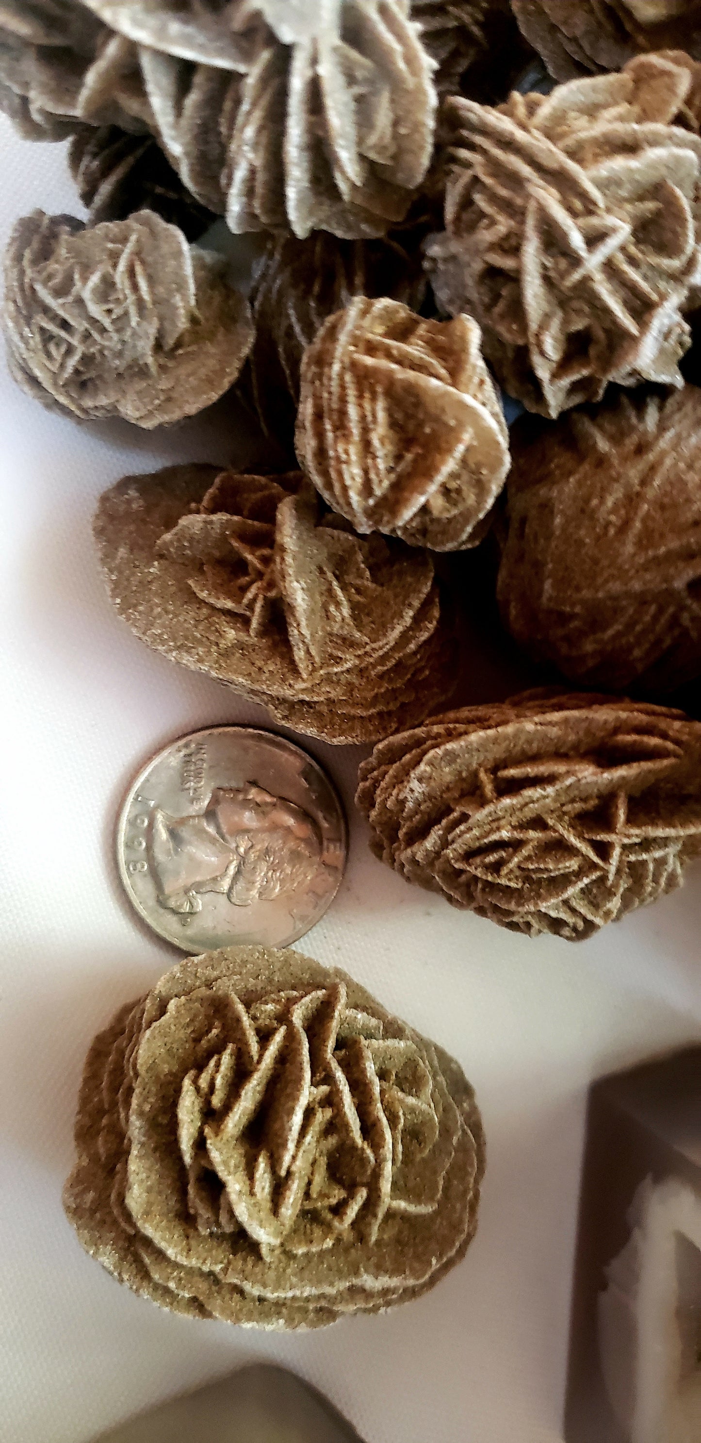 Desert Rose Selenite