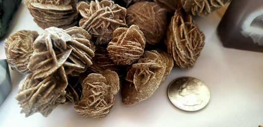 Desert Rose Selenite