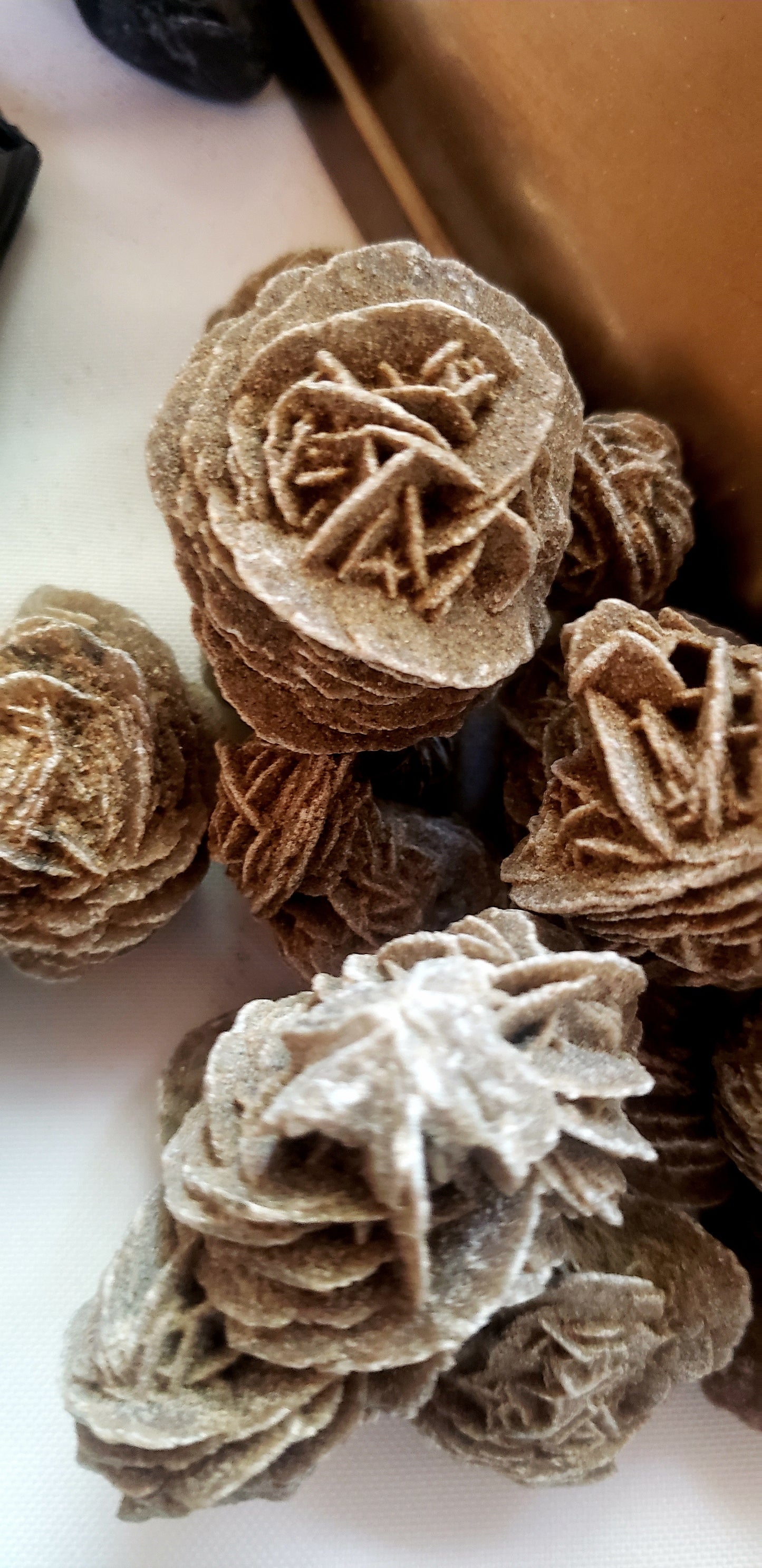 Desert Rose Selenite