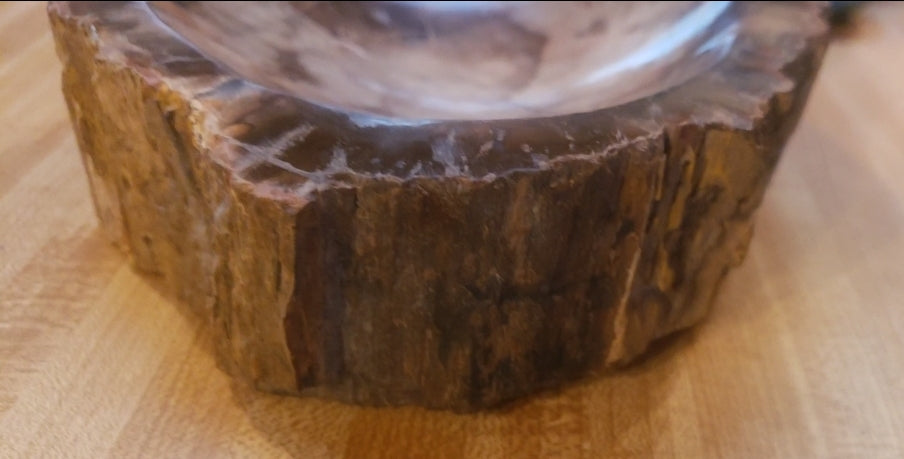 Petrified Wood Bowl