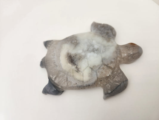 Blue Lace Agate Turtle