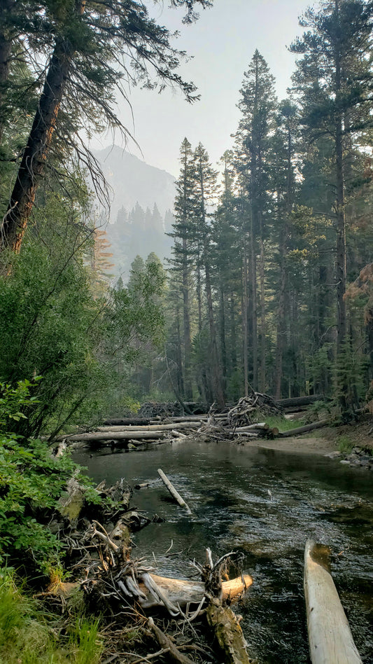 Custom Photography Prints