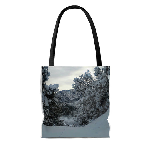 Beach and Snow Tote to go