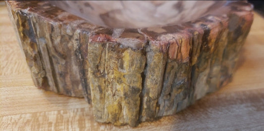 Petrified Wood Bowl